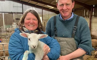 Lambing live with Bill Quan