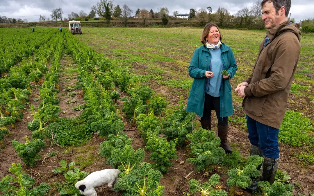 Ellie Chowns and Ben Andrews in a field of kale