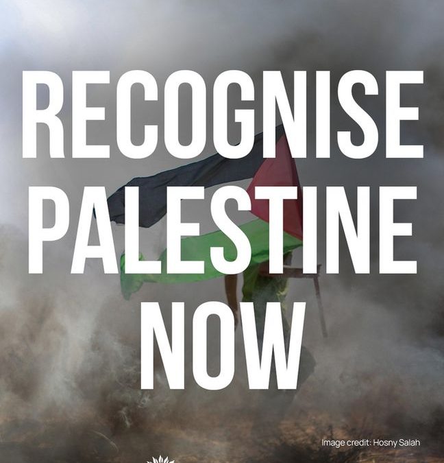 Green party image with the text Recognise Palestine Now emboldened in front of a man carrying a Palestinian flag
