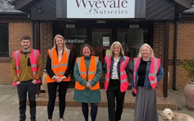 Visit to Wyevale Nurseries