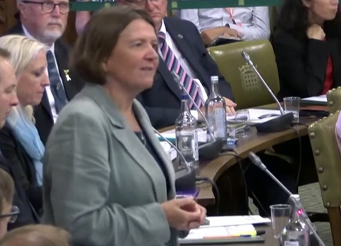 Ellie Chowns in a debating chamber with microphones and other people listening